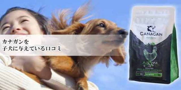 カナガンを子犬に与えている口コミ