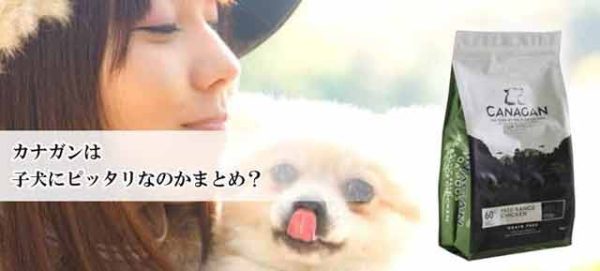 カナガンを子犬用に選ぶべき理由のまとめ