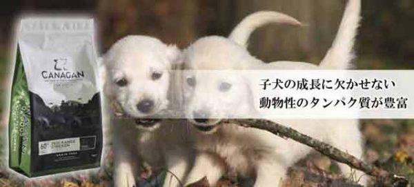 カナガンは動物性タンパク質が豊富